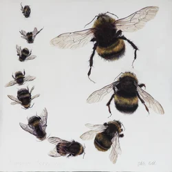 Bombus, 2015 (akryl na drewnie pokrytym gesso)