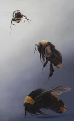 Bombus lot 2, 2011 (akryl na drewnie)