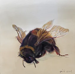Bombus terrestris 10, 2013 (akryl na drewnie)