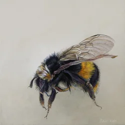 Bombus terrestris 1 (a), 2008 (akryl na drewnie)