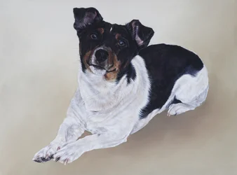 Spike, 2012 (akryl na drewnie)