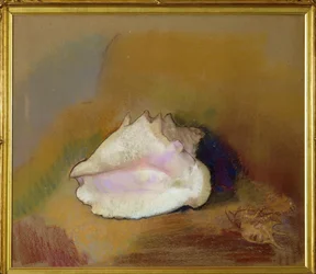 Powłoka