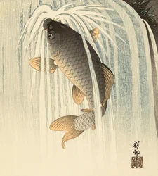 Karp pod wodospadem, japońska artystka Ohara Koson