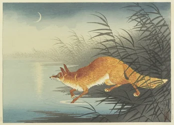 Fox by the Moonlit Water, lata 30. (kolorowy drzeworyt)