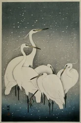 Grupa Czapli