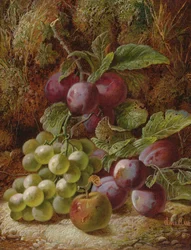 Martwa natura ze śliwkami i winogronami