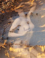 Nudo su sabbia, 2019 (cyfrowe media mieszane)