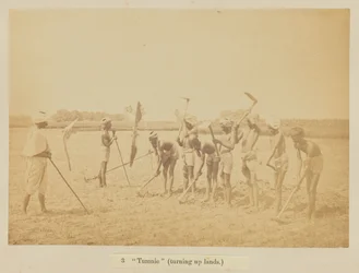 „Tumnie” (odwracanie ziemi)