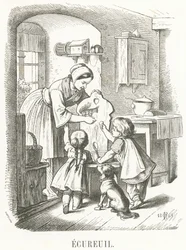 E: Wiewiórka