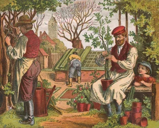 Ogrodnictwo, 1871