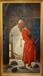 Treser żółwi