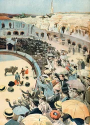 Walka byków na arenach w Nimes