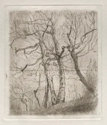 Drzewa, 1878.