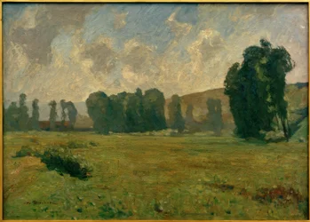 Słoneczny dzień