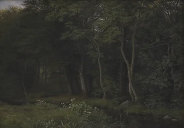 Zmierzch w lesie w pobliżu Iselingen Manor, Zelandia