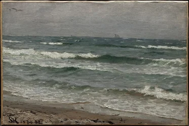 Pejzaż morski. Skagen
