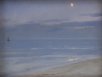 Plaża w Skagen w świetle księżyca