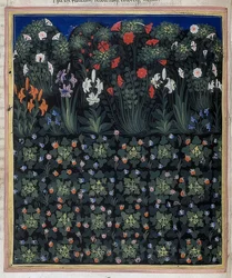 Ogród (od: Regia Carmina by Convenevole da Prato). Około 1335