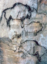Ranny żubr, magdalen (malowidło jaskiniowe)