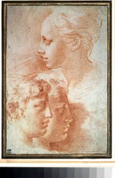 „Etude de tetes” (Studium głów). Profil twarzy młodej dziewczyny i chłopców. Rysunek Girolamo Francesco Maria Mazzola lub Mazzuoli dit il Parmigianino (Parmezan