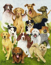 Dog Days (olej na płótnie)