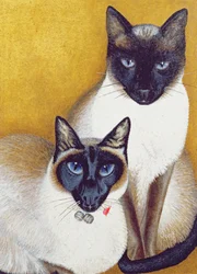 Mavis i Barnaby