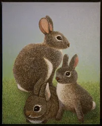 Rabbit Family, 2016 r.