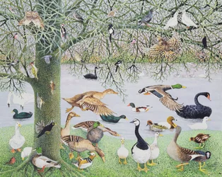 The Odd Duck (akryl na płótnie)