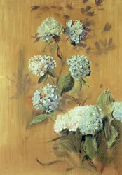 Hortensje (pastel na papierze)