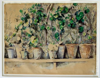 Doniczki Paul Cezanne