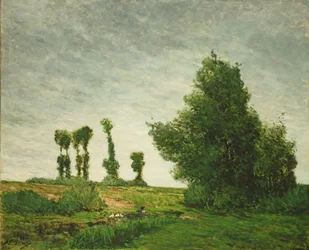 Krajobraz z topolami