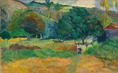 Dolina, 1892