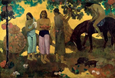 Rupe Rupe, zbiór owoców, 1899