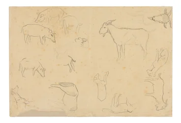 Szkice różnych zwierząt i głowy (recto), szkice głowy, postaci z profilu, szczegółów anatomicznych i zwierząt (verso)