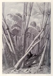 Gulliver widzi robotników rolnych wysokich jak wieże i ukrywa się na polu pszenicy, z francuskiego wydania Podróży Guliwera autorstwa Jonathana Swifta