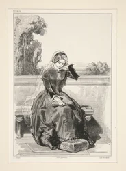 Rose de Tannebourg