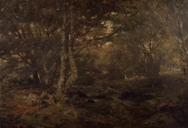 Przez las, Pont-y-Gytyn, Północna Walia