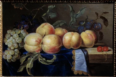 Martwa natura, Peches. Obraz Paula Liegeoisa (XVII w.) Niedz. 0,31x0,47 m Rouen, musee des Beaux Arts