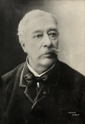 Portret Alfreda Stevensa (zdjęcie)
