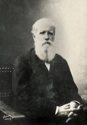 Portret Dom Pedro, cesarza Brazylii (zdjęcie)