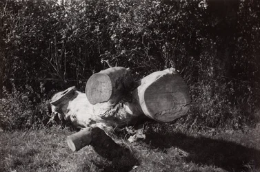 Wyszukiwanie obiektów