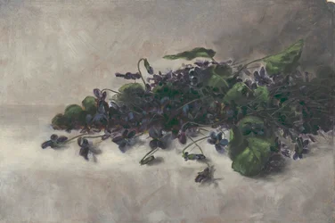 Fiołki, ca. 1890.