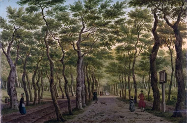 Herepad w Haagse Bos