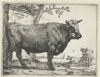 Byk Broszura Bullen (tytuł serii)