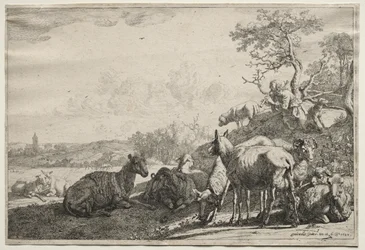 Pasterz, 1644.