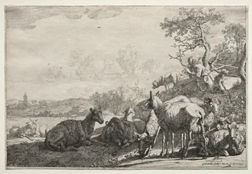 Pasterz, 1644.