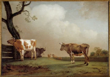 Łąka Stado krów w pre. Obraz Paula Pottera (1625-1654) 1652 Nd. 0,84x1,21m²