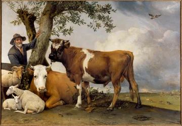 Młody byk. Pasterz i jego bydło: baran, jagnię, krowa i byk. Obraz Paula Pottera (1625-1654), 1647. Płótno. 2,36 x 3,39 m. Haga, Mauritshuis.