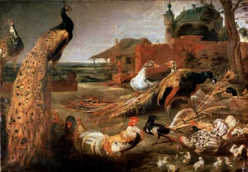 „Wrona w pawich piórach”, ok. 1615-1690