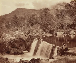 Wodospad, hrabstwo Wicklow, ok. 1870 (zdjęcie)
